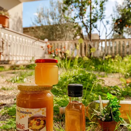 Garden Dhesara *